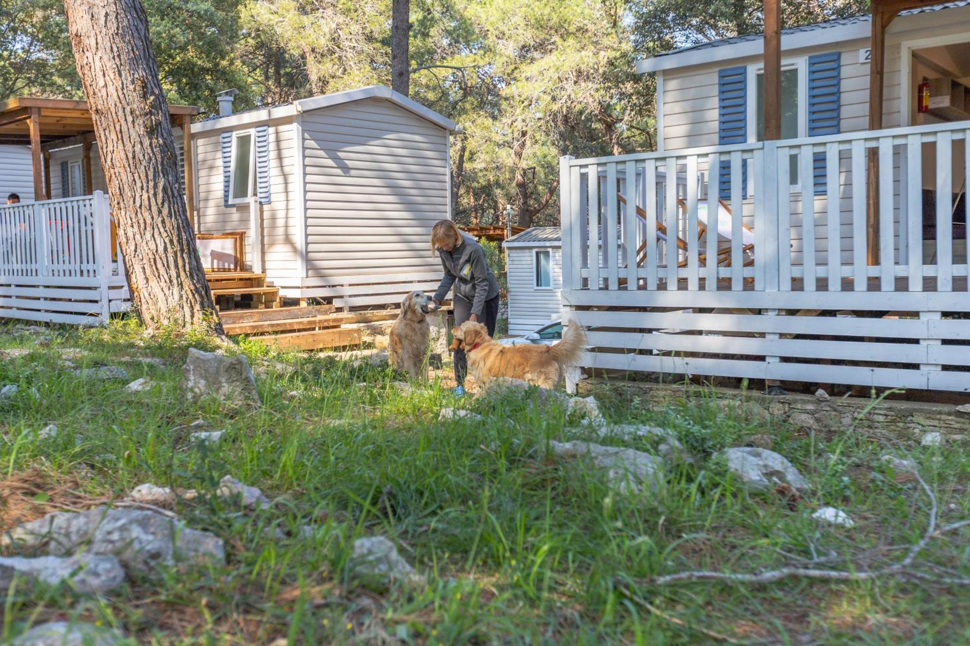 Mobile Homes Pine Sea