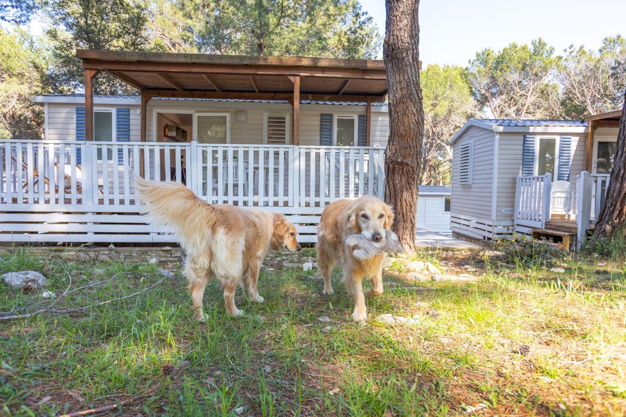 Mobile Homes Pine Sea Kemp